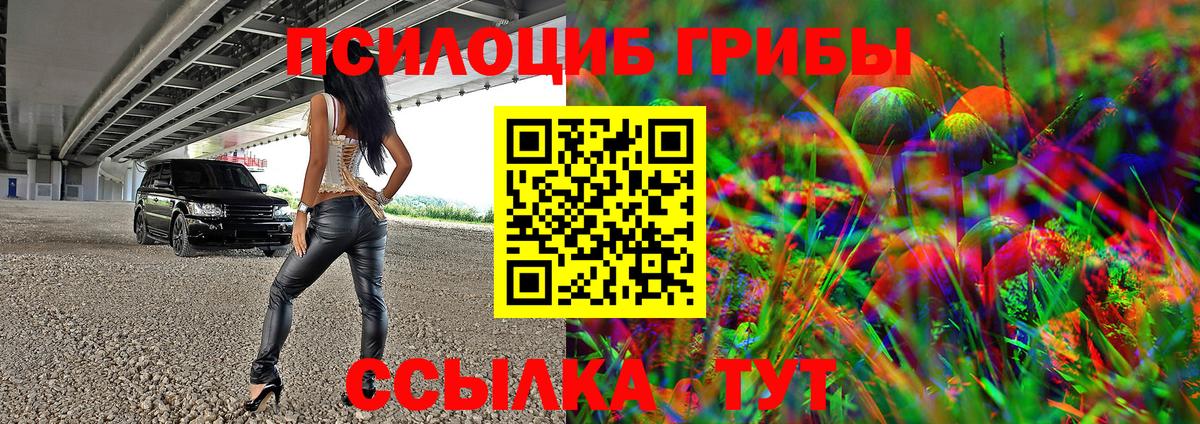 Гай  Псилоцибиновые грибы MAGIC MUSHROOMS  Вход с VPN  Галлюциногенные грибы прущие грибы 
