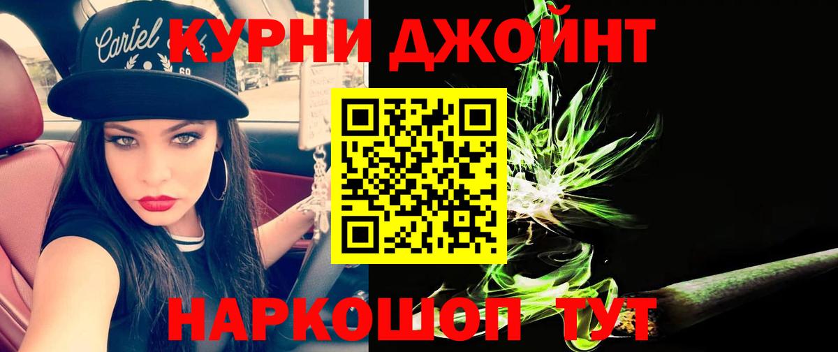 Гай  Канабис планчик  Вход с VPN  Конопля THC 21%  Каннабис OG Kush  Марихуана марихуана 